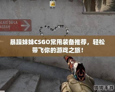 暴躁妹妹CSGO常用装备推荐，轻松带飞你的游戏之旅！