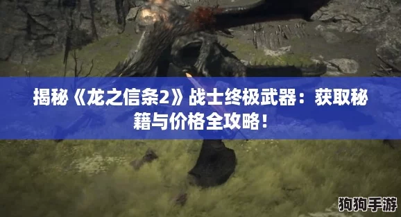 揭秘《龙之信条2》战士终极武器：获取秘籍与价格全攻略！