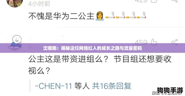 沈哪娜：揭秘这位网络红人的成长之路与流量密码