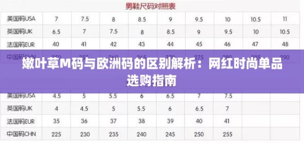 嫩叶草M码与欧洲码的区别解析:网红时尚单品选购指南 嫩叶草M码与欧洲码的区别解析:网红时尚单品选购指南