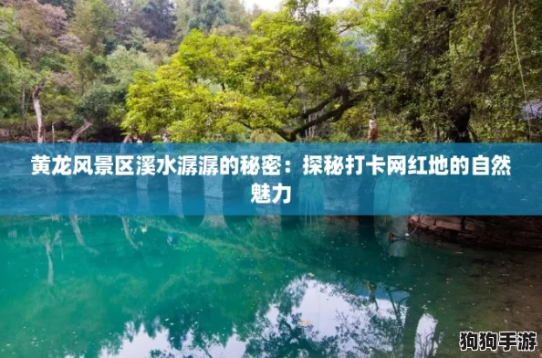 黄龙风景区溪水潺潺的秘密：探秘打卡网红地的自然魅力