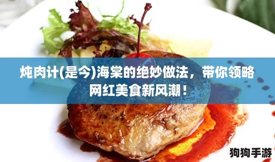 炖肉计(是今)海棠的绝妙做法，带你领略网红美食新风潮！