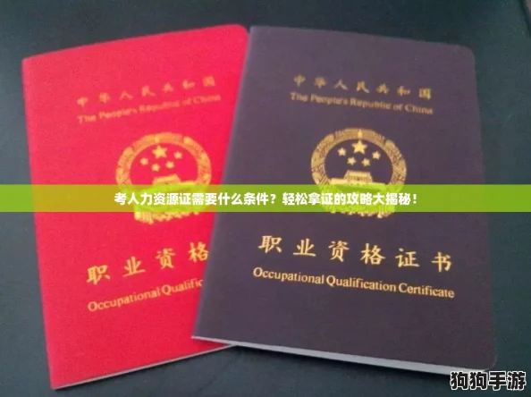 考人力资源证需要什么条件？轻松拿证的攻略大揭秘！