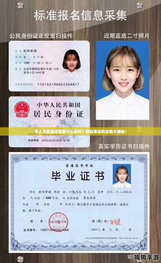 考人力资源证需要什么条件？轻松拿证的攻略大揭秘！