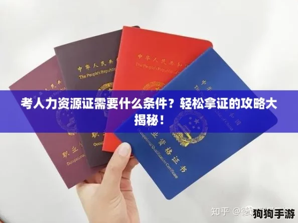 考人力资源证需要什么条件？轻松拿证的攻略大揭秘！