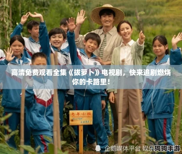 高清免费观看全集《拔萝卜》电视剧，快来追剧燃烧你的卡路里！