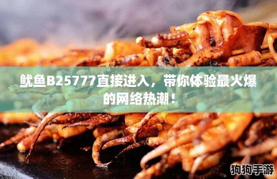 鱿鱼B25777直接进入，带你体验最火爆的网络热潮！