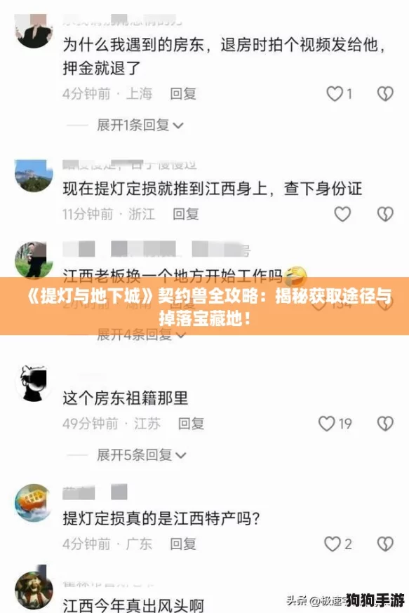 《提灯与地下城》契约兽全攻略：揭秘获取途径与掉落宝藏地！