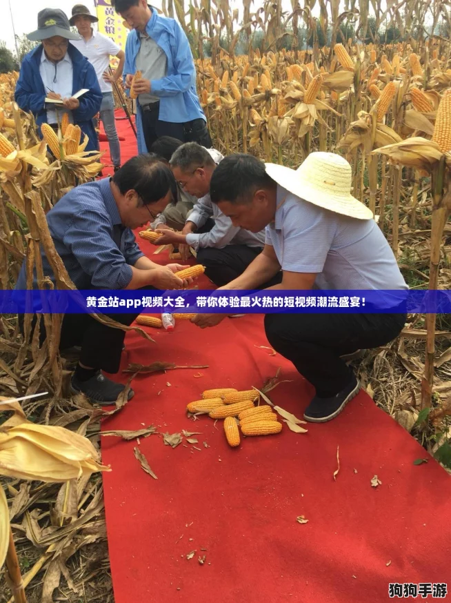 黄金站app视频大全，带你体验最火热的短视频潮流盛宴！
