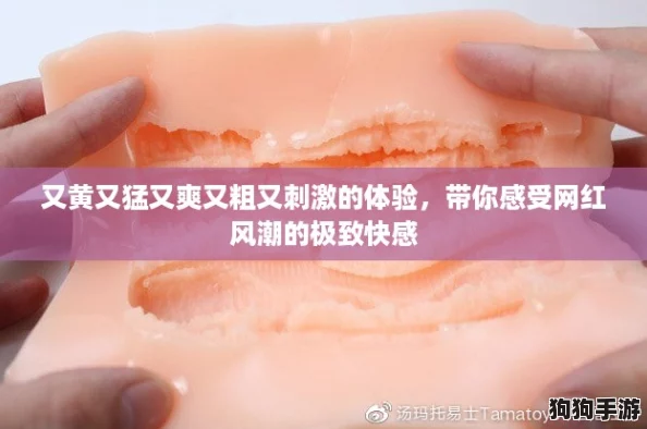又黄又猛又爽又粗又刺激的体验，带你感受网红风潮的极致快感