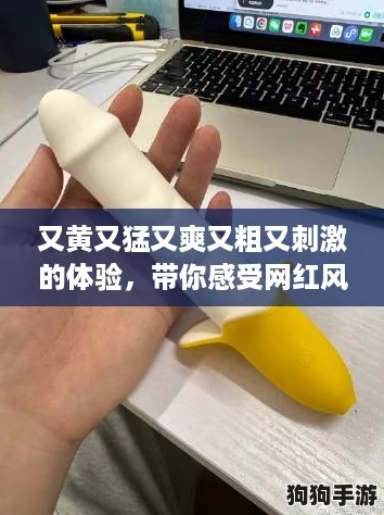 又黄又猛又爽又粗又刺激的体验，带你感受网红风潮的极致快感