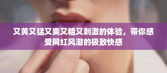 又黄又猛又爽又粗又刺激的体验，带你感受网红风潮的极致快感