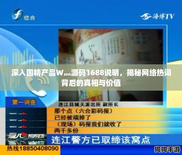 深入国精产品W灬源码1688说明，揭秘网络热词背后的真相与价值