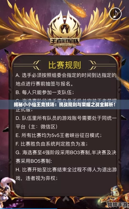 揭秘小小仙王竞技场：挑战规则与荣耀之战全解析！
