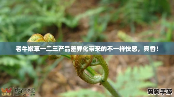 老牛嫩草一二三产品差异化带来的不一样快感，真香！