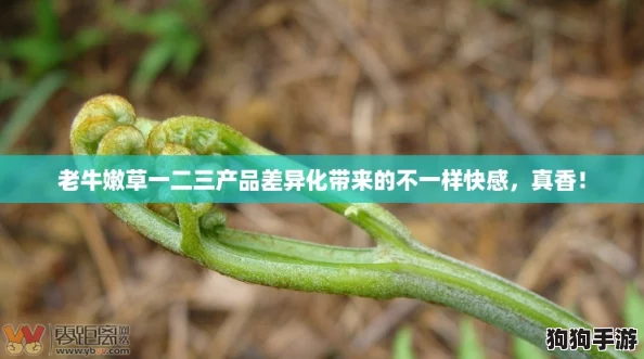 老牛嫩草一二三产品差异化带来的不一样快感,真香! 老牛嫩草一二三产品差异化带来的不一样快感,真香!