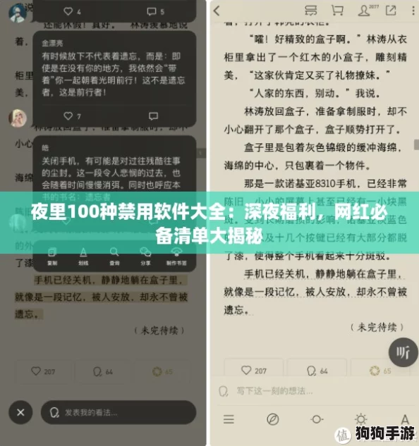 夜里100种禁用软件大全：深夜福利，网红必备清单大揭秘
