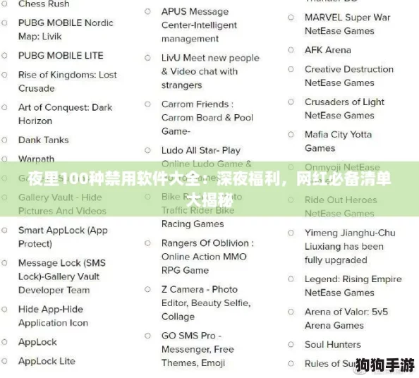 夜里100种禁用软件大全:深夜福利,网红必备清单大揭秘 夜里100种禁用软件大全:深夜福利,网红必备清单大揭秘
