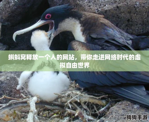 蝌蚪窝释放一个人的网站，带你走进网络时代的虚拟自由世界