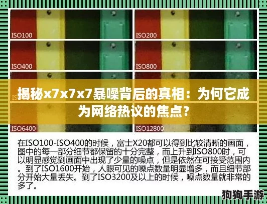 揭秘x7x7x7暴噪背后的真相：为何它成为网络热议的焦点？