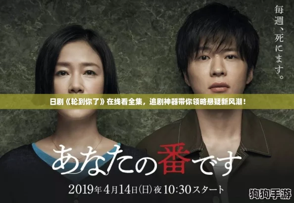 日剧《轮到你了》在线看全集，追剧神器带你领略悬疑新风潮！