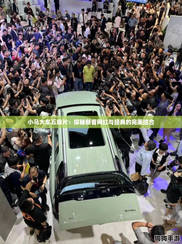 小马大车五级片：探秘新晋网红与经典的完美结合
