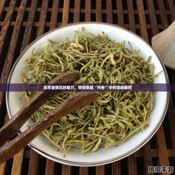 绞尽金银花的魅力，带你体验“内卷”中的清新解药