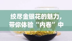绞尽金银花的魅力，带你体验“内卷”中的清新解药