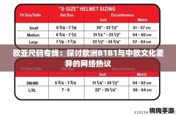 欧亚尺码专线：探讨欧洲B1B1与中欧文化差异的网络热议