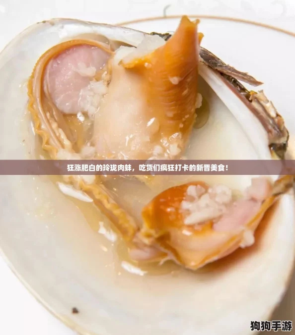 狂涨肥白的玲珑肉蚌，吃货们疯狂打卡的新晋美食！