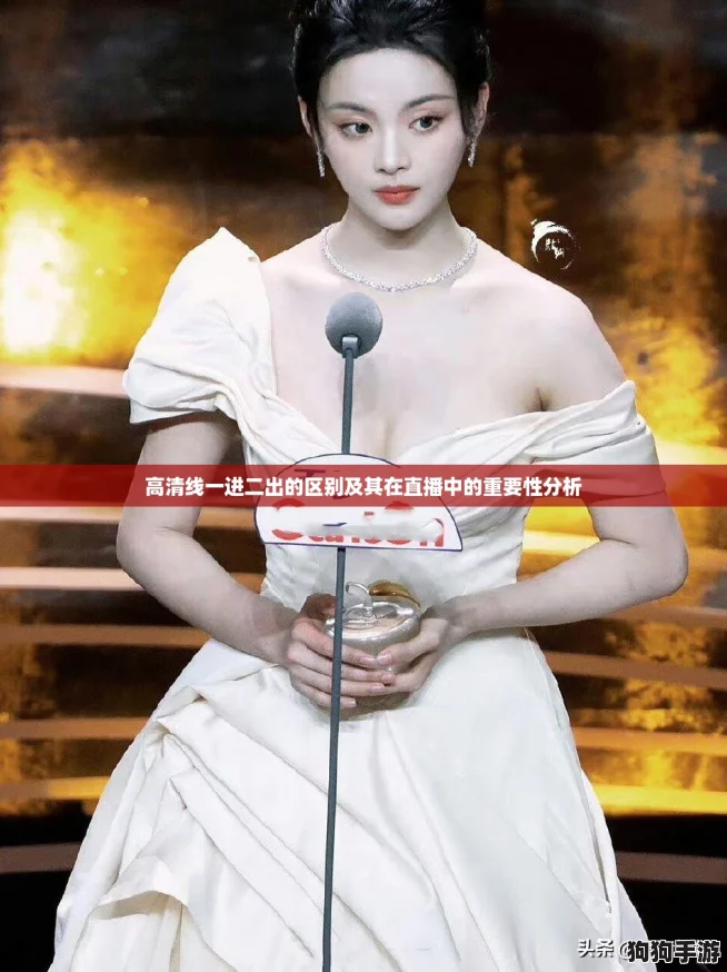 高清线一进二出的区别及其在直播中的重要性分析