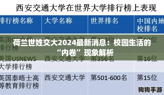 荷兰世姓交大2024最新消息：校园生活的“内卷”现象解析