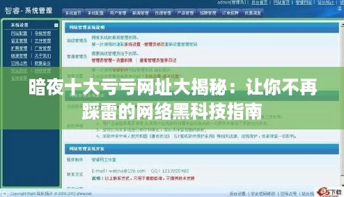 暗夜十大亏亏网址大揭秘：让你不再踩雷的网络黑科技指南