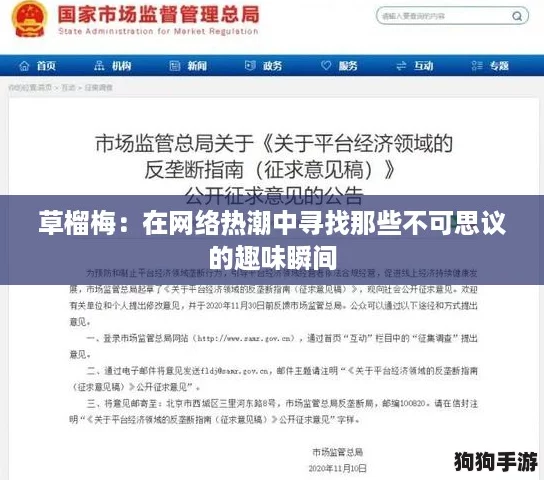 草榴梅：在网络热潮中寻找那些不可思议的趣味瞬间