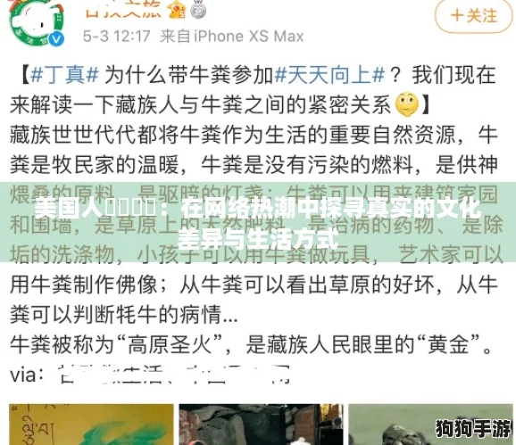 美国人乄乄乄乄：在网络热潮中探寻真实的文化差异与生活方式
