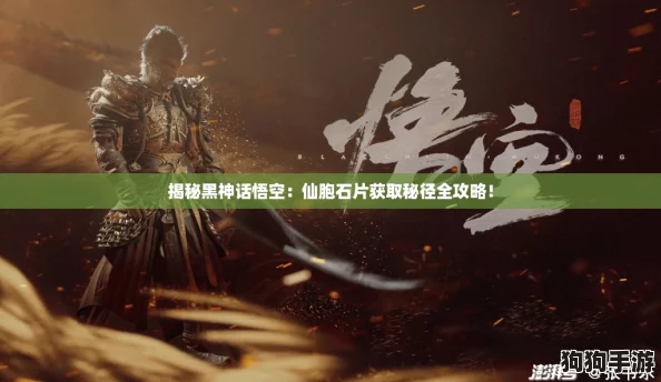 揭秘黑神话悟空：仙胞石片获取秘径全攻略！
