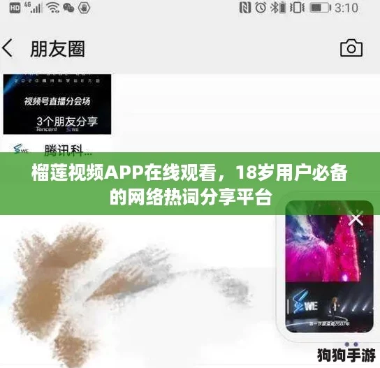 榴莲视频APP在线观看，18岁用户必备的网络热词分享平台