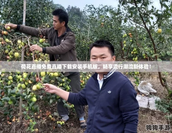 荷花直播免费直播下载安装手机版,畅享流行潮流新体验! 荷花直播免费直播下载安装手机版,畅享流行潮流新体验!