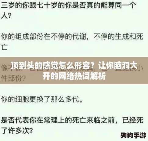 顶到头的感觉怎么形容？让你脑洞大开的网络热词解析