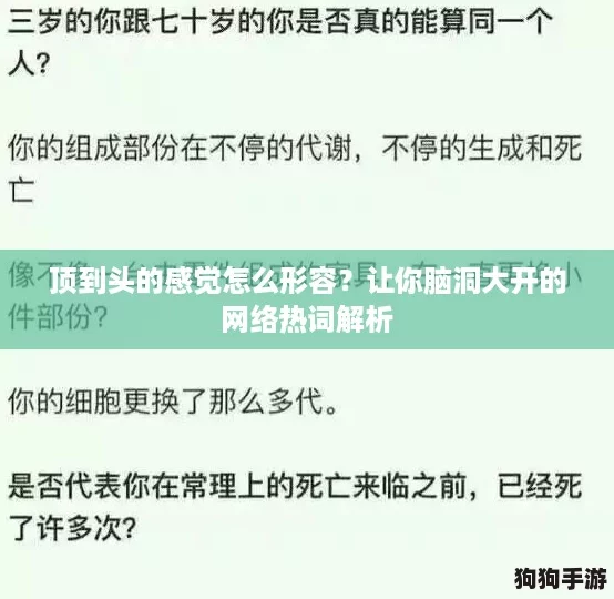 顶到头的感觉怎么形容?让你脑洞大开的网络热词解析 顶到头的感觉怎么形容?让你脑洞大开的网络热词解析