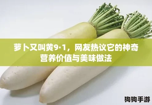 萝卜又叫黄9·1，网友热议它的神奇营养价值与美味做法