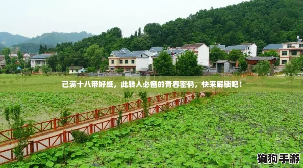 已满十八带好纸，此转人必备的青春密码，快来解锁吧！