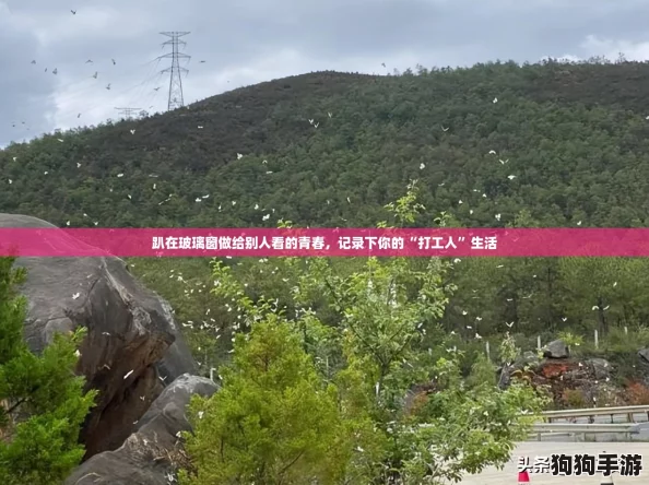 趴在玻璃窗做给别人看的青春,记录下你的“打工人”生活 趴在玻璃窗做给别人看的青春,记录下你的“打工人”生活