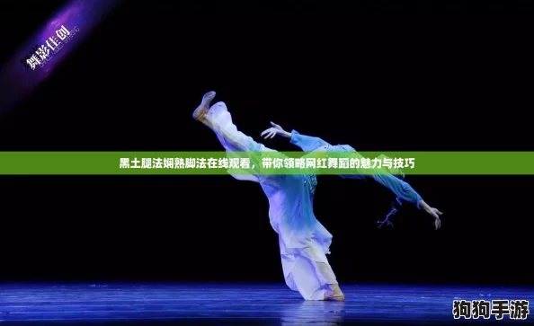 黑土腿法娴熟脚法在线观看，带你领略网红舞蹈的魅力与技巧