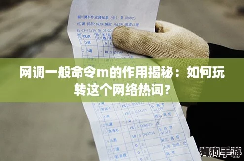 网调一般命令m的作用揭秘：如何玩转这个网络热词？