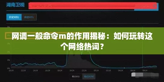 网调一般命令m的作用揭秘：如何玩转这个网络热词？