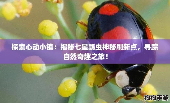 探索心动小镇:揭秘七星瓢虫神秘刷新点,寻踪自然奇趣之旅! 探索心动小镇:揭秘七星瓢虫神秘刷新点,寻踪自然奇趣之旅!