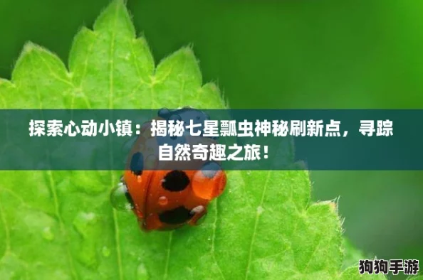 探索心动小镇:揭秘七星瓢虫神秘刷新点,寻踪自然奇趣之旅! 探索心动小镇:揭秘七星瓢虫神秘刷新点,寻踪自然奇趣之旅!