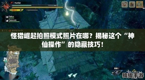 怪猎崛起拍照模式照片在哪？揭秘这个“神仙操作”的隐藏技巧！