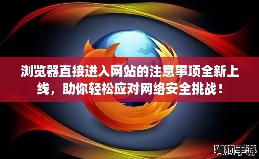浏览器直接进入网站的注意事项全新上线，助你轻松应对网络安全挑战！